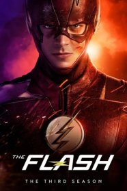 Flash (2014)