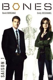 Bones
