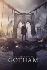 Gotham (2014)