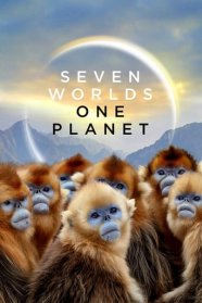 Une planète, sept mondes sauvages
