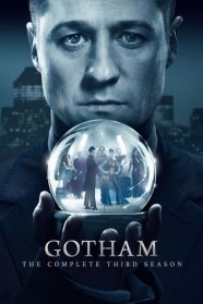 Gotham (2014)