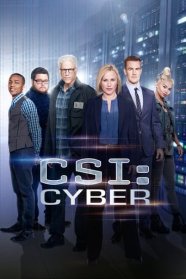 Les Experts : Cyber
