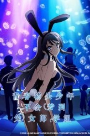 Rascal Does Not Dream of Bunny Girl Senpai
