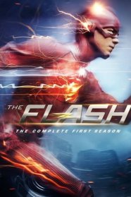 Flash (2014)