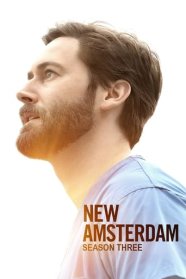 New Amsterdam (2018)