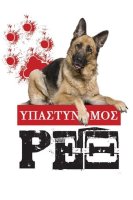 Rex, Chien flic saison 10