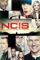 NCIS : Enquêtes Spéciales saison 15