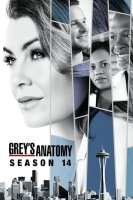 Grey's Anatomy saison 14
