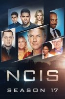 NCIS : Enquêtes Spéciales saison 17