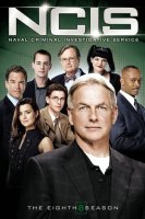 NCIS : Enquêtes Spéciales saison 8