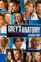 Grey's Anatomy saison 8