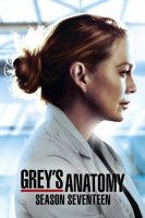 Grey's Anatomy saison 17