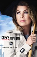 Grey's Anatomy saison 12
