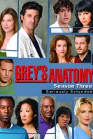 Grey's Anatomy saison 3