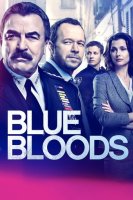 Blue Bloods saison 9