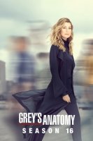Grey's Anatomy saison 16
