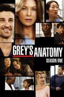 Grey's Anatomy saison 1