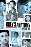 Grey's Anatomy saison 2