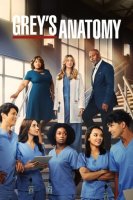 Grey's Anatomy saison 19