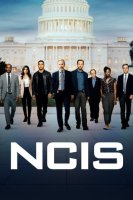 NCIS : Enquêtes Spéciales saison 20