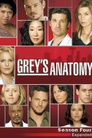 Grey's Anatomy saison 4