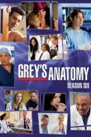 Grey's Anatomy saison 6