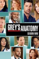 Grey's Anatomy saison 9